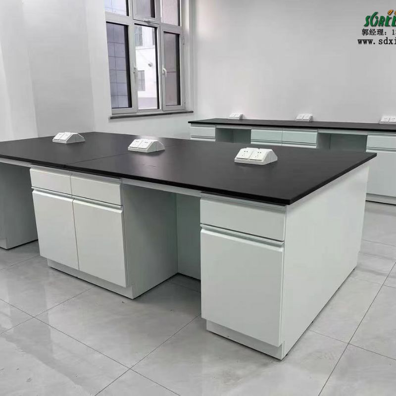 濰坊全鋼實(shí)驗(yàn)臺實(shí)驗(yàn)室工作臺試驗(yàn)臺定做