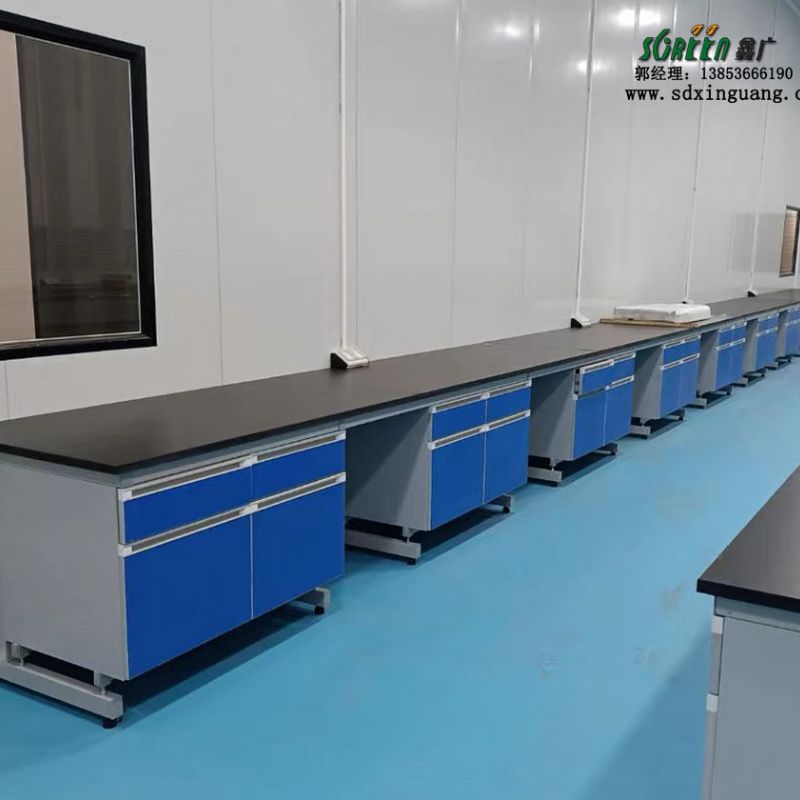 鑫廣鋼木實(shí)驗(yàn)臺(tái) 實(shí)驗(yàn)室操作臺(tái)工作臺(tái)廠家定制