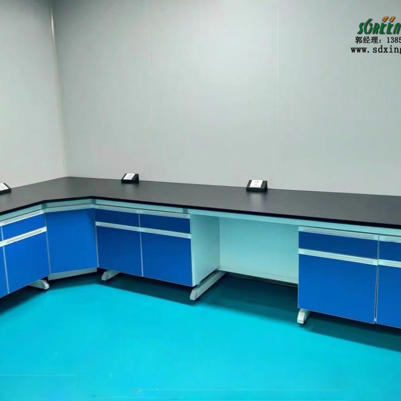 濰坊實(shí)驗(yàn)室設(shè)備安裝化驗(yàn)室邊臺(tái)整體裝修