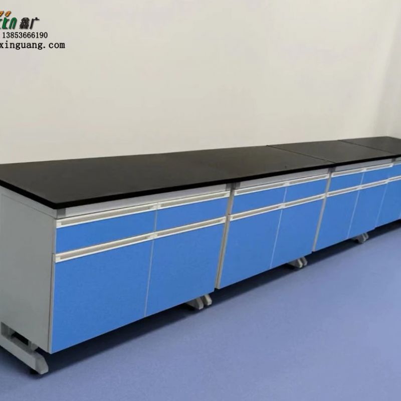 山東鋼木實(shí)驗(yàn)臺實(shí)驗(yàn)室規(guī)劃設(shè)計(jì)試驗(yàn)臺廠家