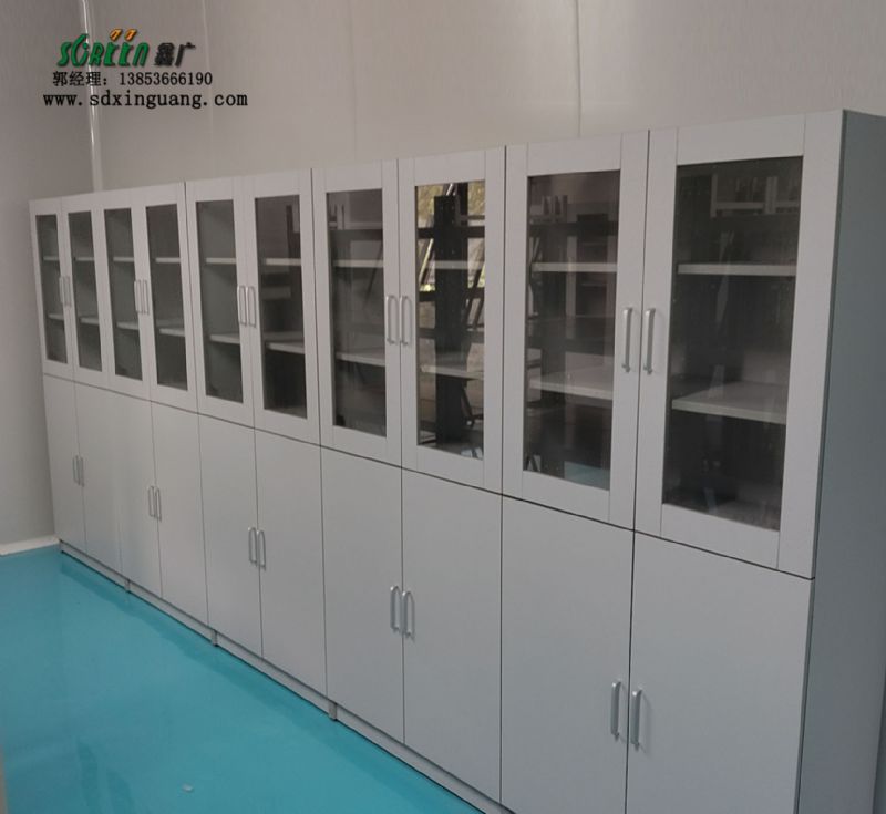 山東實(shí)驗(yàn)臺(tái)廠家耐酸堿藥品柜實(shí)驗(yàn)室試劑柜供應(yīng)