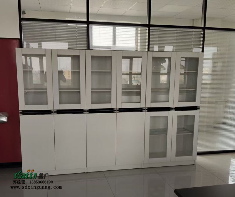 實(shí)驗(yàn)室器皿柜